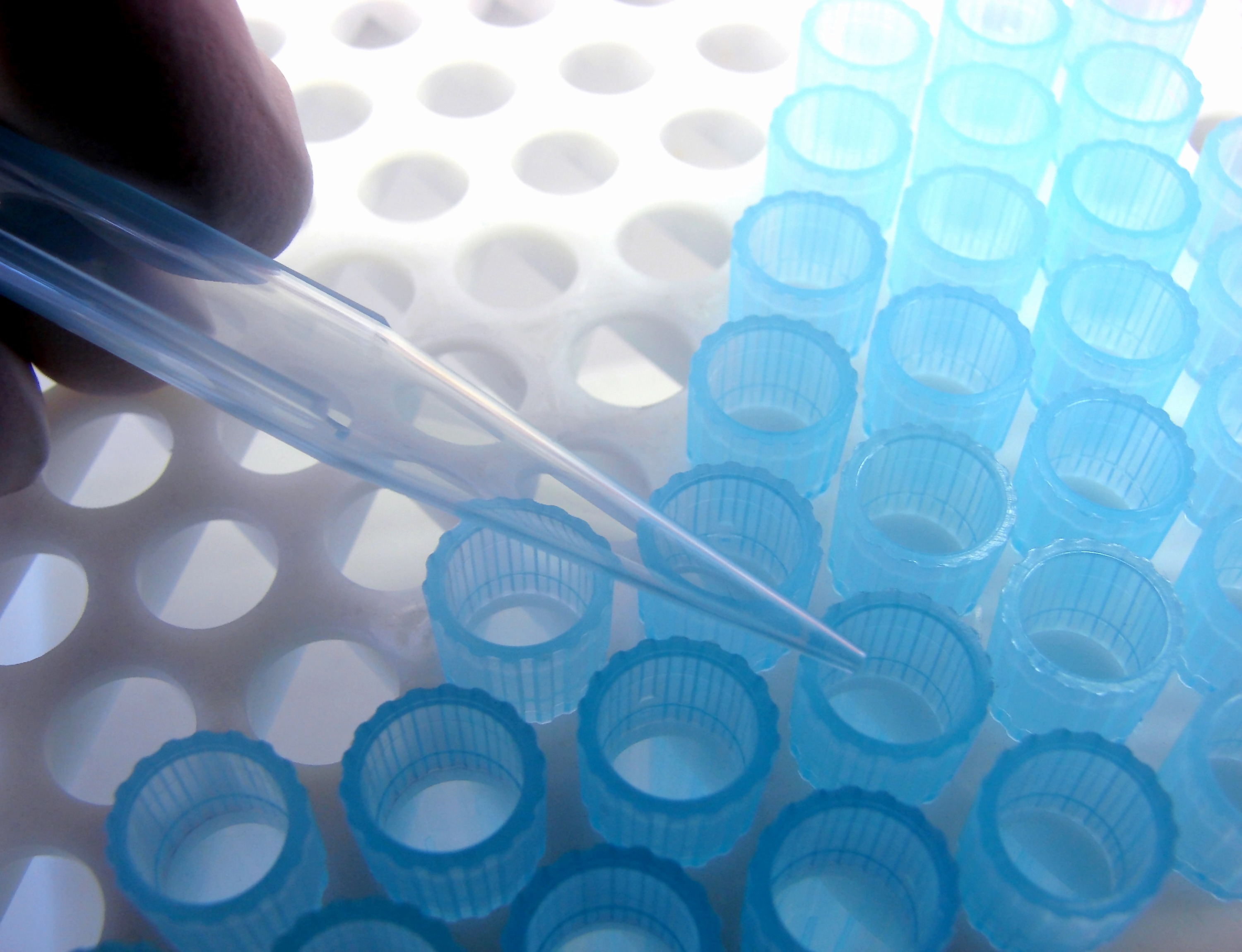 laboratory equipment in science lab