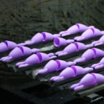 silicone lp
